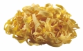 Matryca do makaronu fettuccine w kolorze żółtym, makaron wstążkowy Bartscher 101988