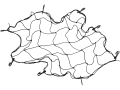 d635c04021c10e85772b13c723f424db